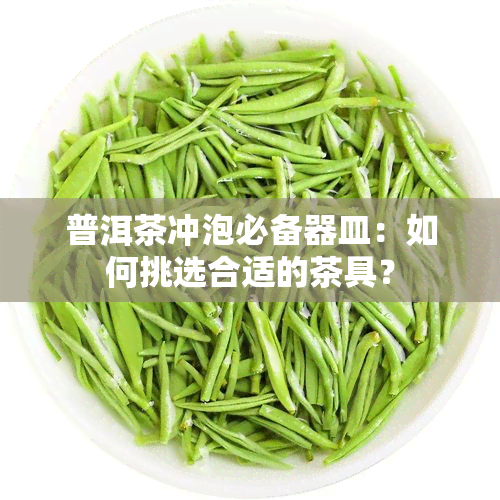 普洱茶冲泡必备器皿：如何挑选合适的茶具？