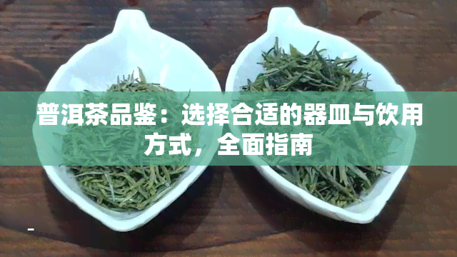 普洱茶品鉴：选择合适的器皿与饮用方式，全面指南