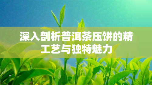 深入剖析普洱茶压饼的精工艺与独特魅力