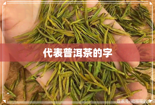 代表普洱茶的字