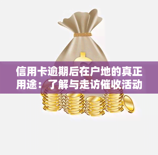 信用卡逾期后在户地的真正用途：了解与走访活动