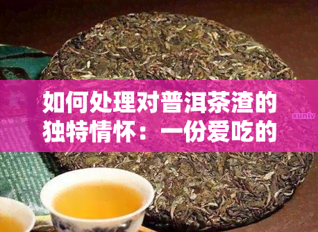 如何处理对普洱茶渣的独特情怀：一份爱吃的解答