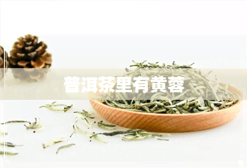 普洱茶里有黄蓉