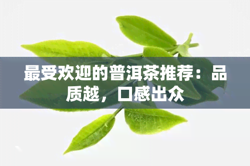 更受欢迎的普洱茶推荐：品质越，口感出众