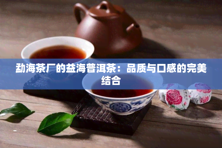 勐海茶厂的益海普洱茶：品质与口感的完美结合