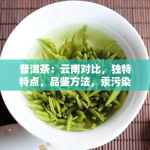 普洱茶：云南对比，独特特点，品鉴方法，汞污染影响及生茶解析