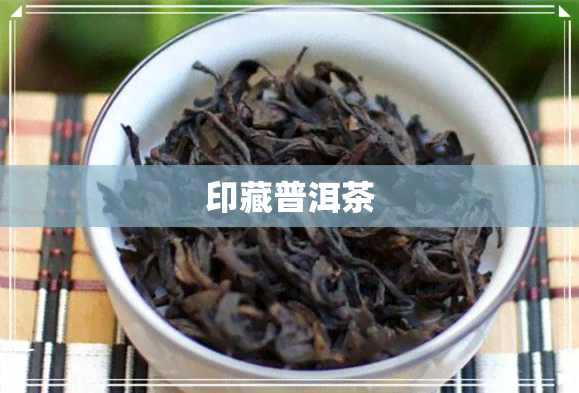 印藏普洱茶