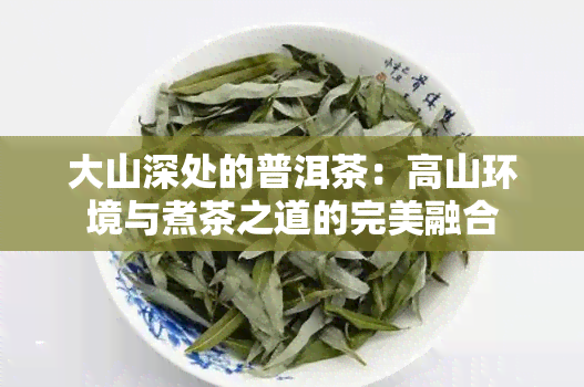 大山深处的普洱茶：高山环境与煮茶之道的完美融合