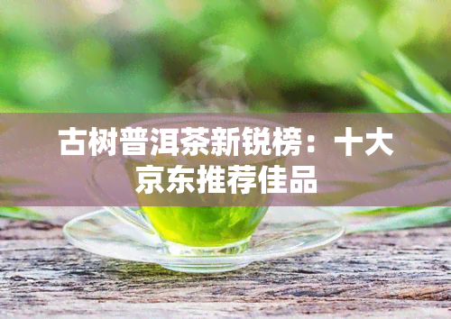 古树普洱茶新锐榜：十大京东推荐佳品