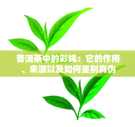 普洱茶中的彩绳：它的作用、来源以及如何鉴别真伪