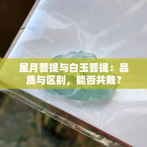 星月菩提与白玉菩提：品质与区别，能否共戴？