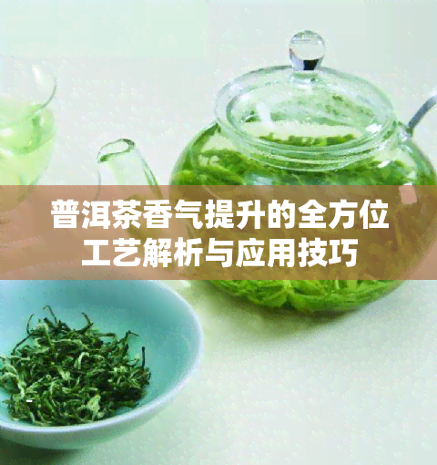 普洱茶香气提升的全方位工艺解析与应用技巧