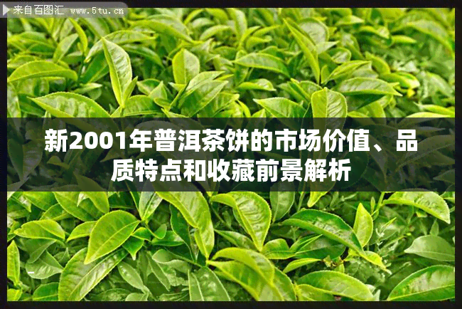 新2001年普洱茶饼的市场价值、品质特点和收藏前景解析