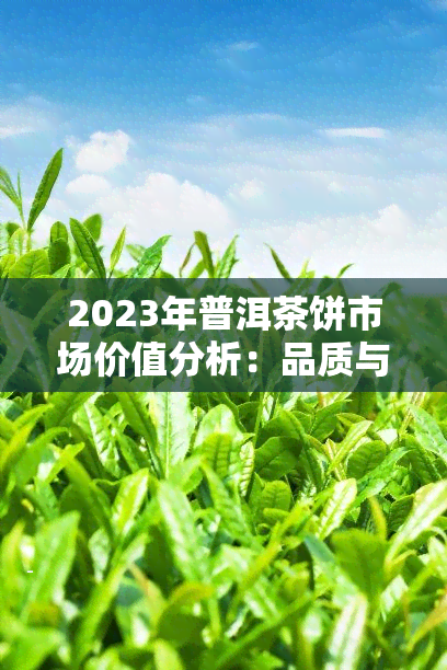 2023年普洱茶饼市场价值分析：品质与年代对价格的影响