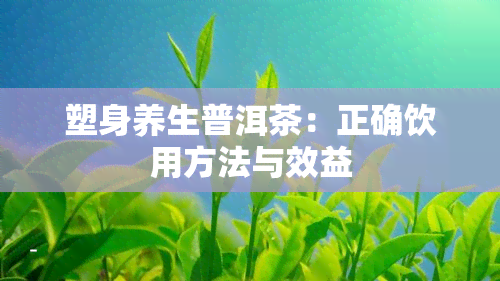 塑身养生普洱茶：正确饮用方法与效益