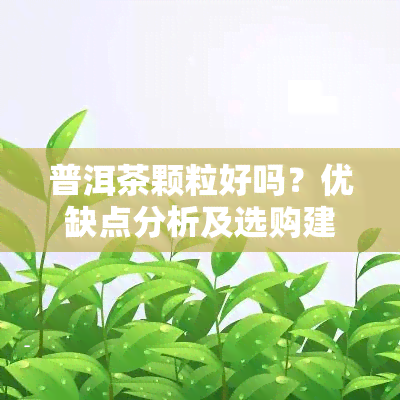 普洱茶颗粒好吗？优缺点分析及选购建议