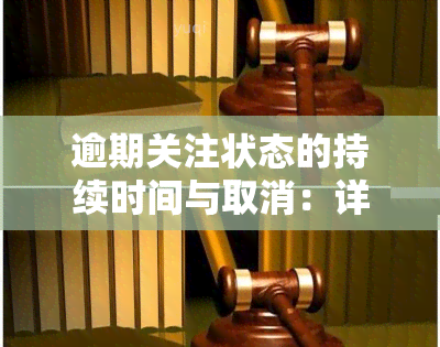 逾期关注状态的持续时间与取消：详细了解及影响因素解析