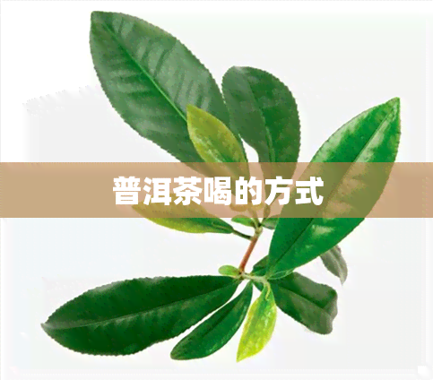 普洱茶喝的方式