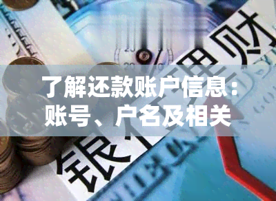 了解还款账户信息：账号、户名及相关问题的解答