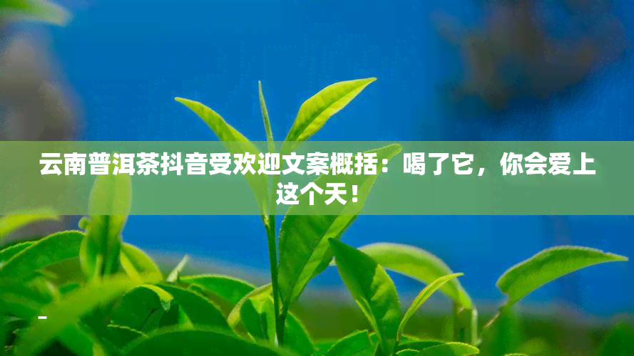 云南普洱茶抖音受欢迎文案概括：喝了它，你会爱上这个天！