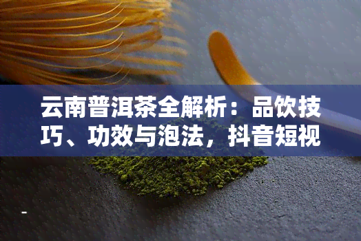 云南普洱茶全解析：品饮技巧、功效与泡法，抖音短视频助你成为茶叶达人！