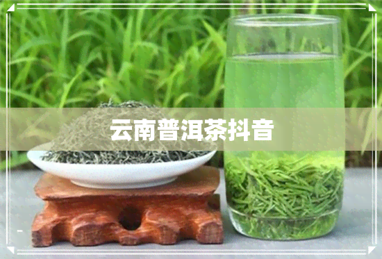 云南普洱茶抖音