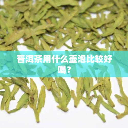 普洱茶用什么壶泡比较好喝？