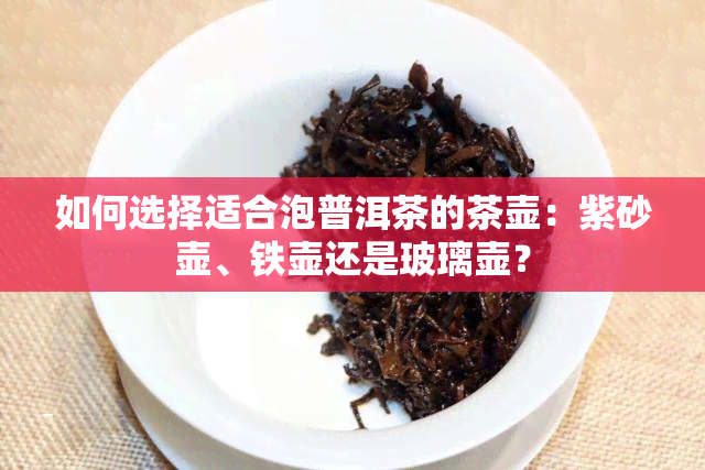 如何选择适合泡普洱茶的茶壶：紫砂壶、铁壶还是玻璃壶？