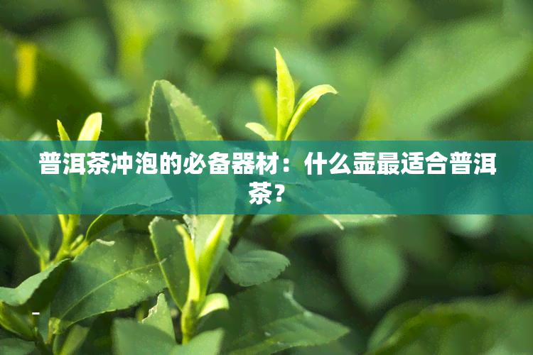 普洱茶冲泡的必备器材：什么壶最适合普洱茶？