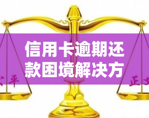 信用卡逾期还款困境解决方案：如何应对、期申请、债务重组等详细指南