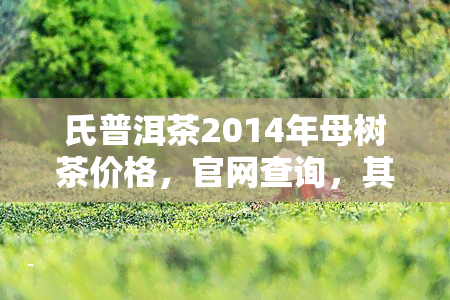 氏普洱茶2014年母树茶价格，官网查询，其他年份春茶也可咨询。