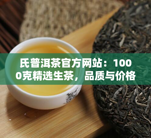 氏普洱茶官方网站：1000克精选生茶，品质与价格的完美融合