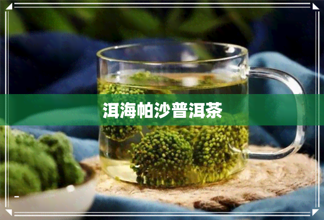 洱海帕沙普洱茶