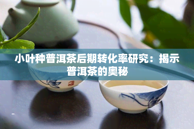 小叶种普洱茶后期转化率研究：揭示普洱茶的奥秘