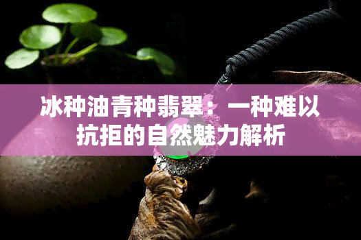 冰种油青种翡翠：一种难以抗拒的自然魅力解析