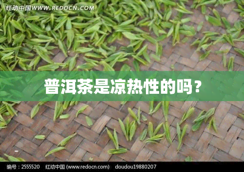 普洱茶是凉热性的吗？