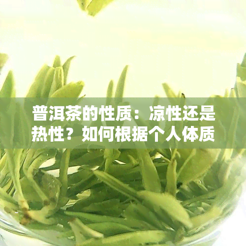 普洱茶的性质：凉性还是热性？如何根据个人体质选择合适的茶叶？