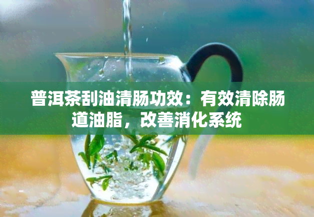 普洱茶刮油清肠功效：有效清除肠道油脂，改善消化系统