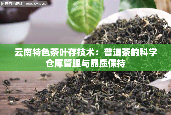 云南特色茶叶存技术：普洱茶的科学仓库管理与品质保持