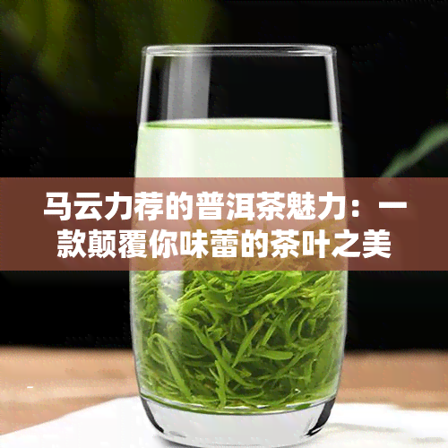 马云力荐的普洱茶魅力：一款颠覆你味蕾的茶叶之美