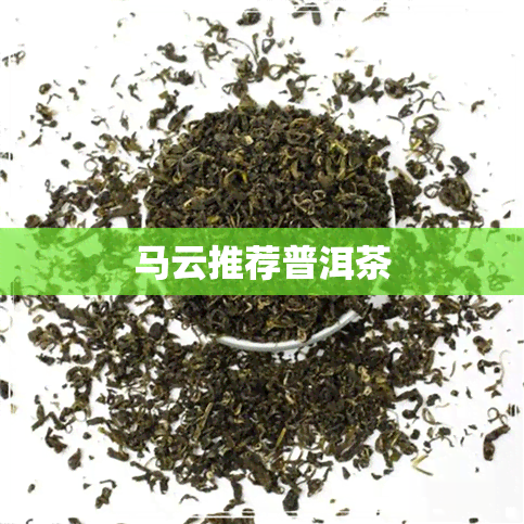 马云推荐普洱茶