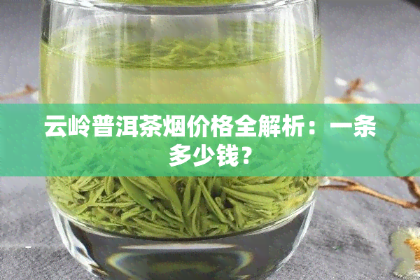 云岭普洱茶价格全解析：一条多少钱？