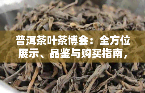 普洱茶叶茶博会：全方位展示、品鉴与购买指南，了解茶叶文化与泡茶技巧