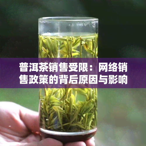 普洱茶销售受限：网络销售政策的背后原因与影响