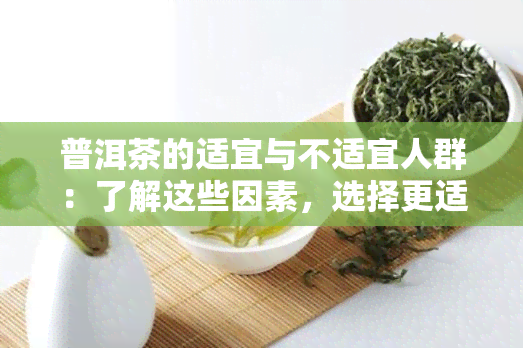 普洱茶的适宜与不适宜人群：了解这些因素，选择更适合自己的茶