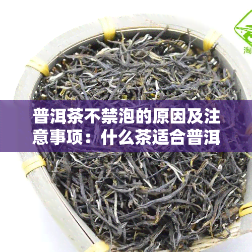 普洱茶不禁泡的原因及注意事项：什么茶适合普洱茶不禁泡？