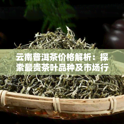 云南普洱茶价格解析：探索最贵茶叶品种及市场行情