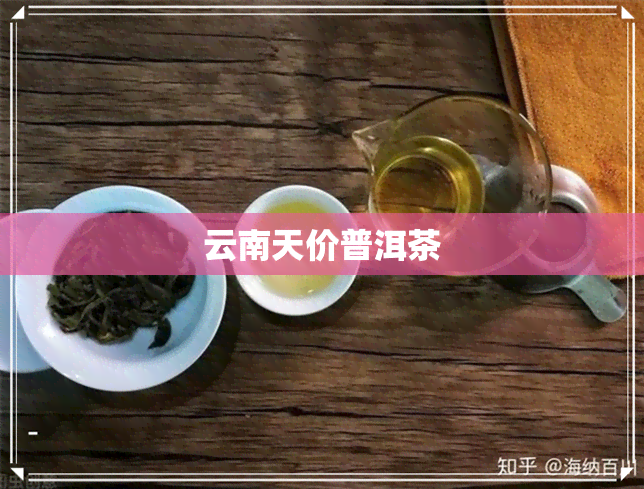 云南天价普洱茶