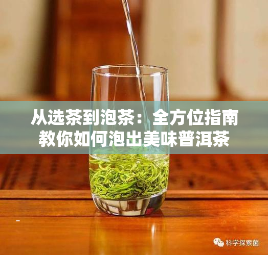 从选茶到泡茶：全方位指南教你如何泡出美味普洱茶