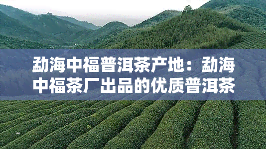 勐海中福普洱茶产地：勐海中福茶厂出品的优质普洱茶叶，源自勐海地区。